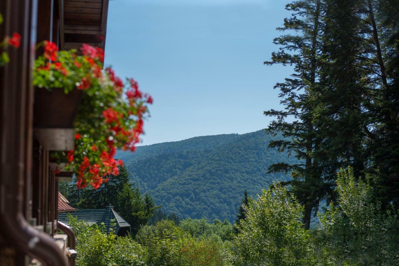 Uphill Residence Sinaia Exterior photo