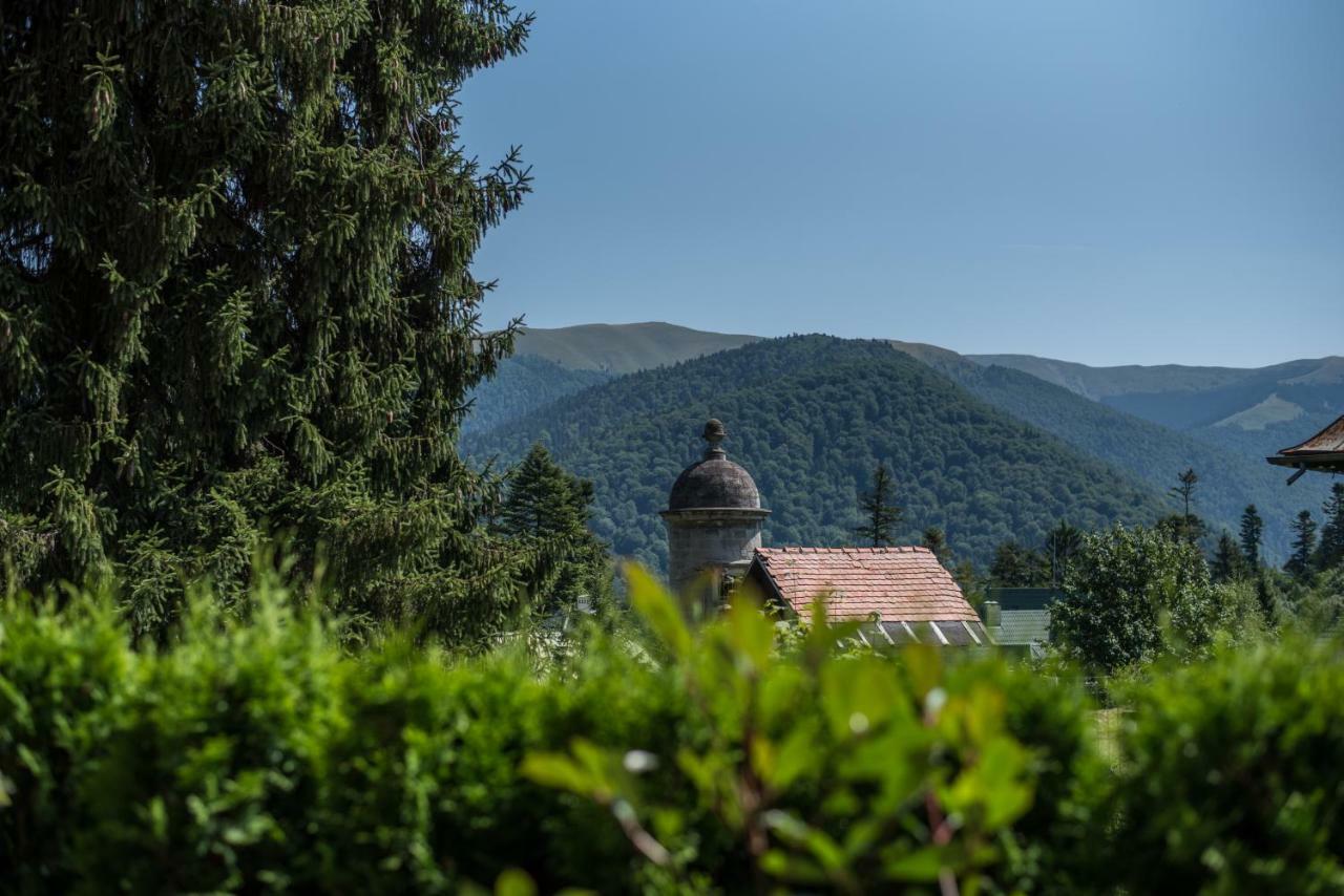 Uphill Residence Sinaia Exterior photo